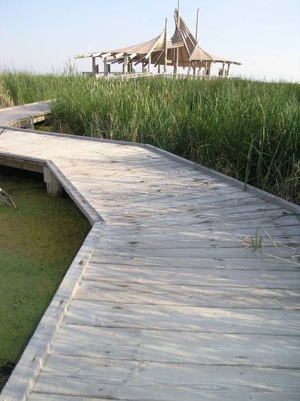 Bird Refuge - TWII Walkway